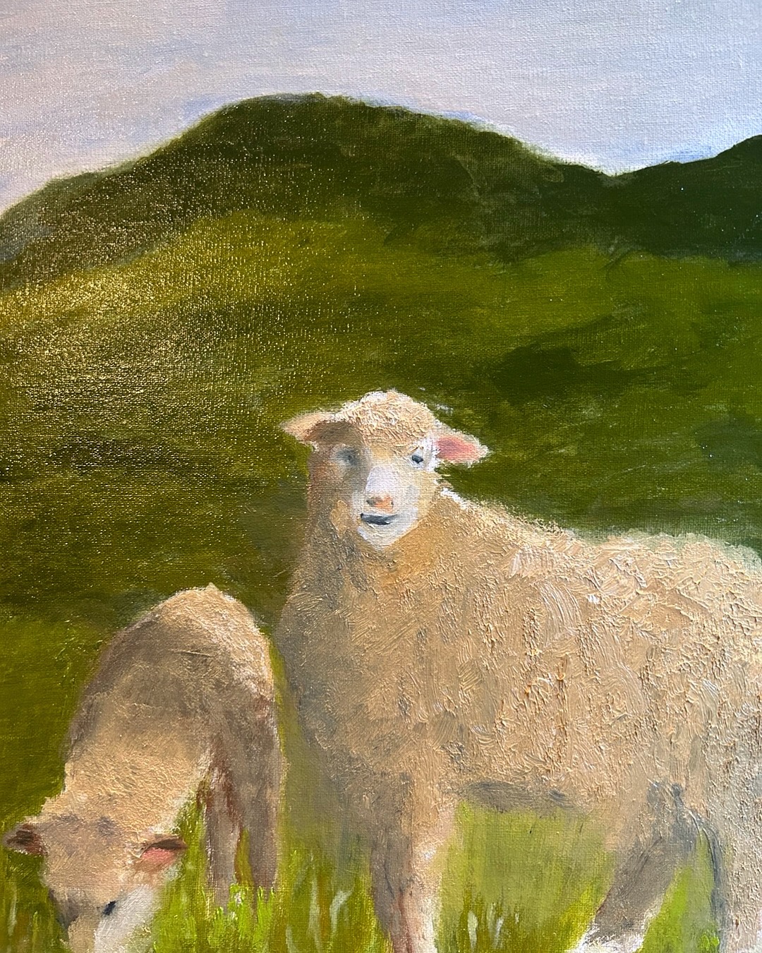 Sheep 2 by Nancy Ziegler
